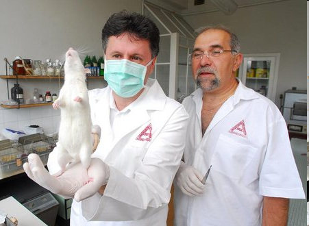 A kutatás vezetői: Prof. Dr. Kiss István és Prof. Dr. Ember István †