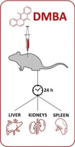 Korai biomarker panel – ábra
