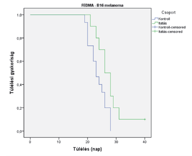 Ábra: Flavin77 (zöld) vs kontroll (kék) – B16 melanoma tumor növekedés