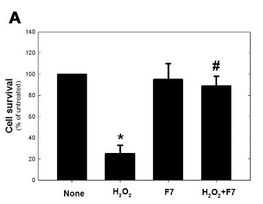 Ábra: oxidatív stressz és sejtkárosodás mérései
